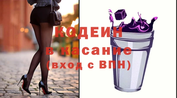 индика Балахна
