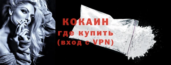 индика Балахна