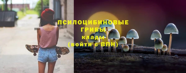 индика Балахна