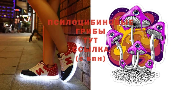 индика Балахна
