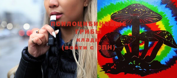 индика Балахна