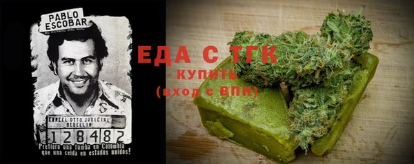 индика Балахна