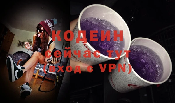 индика Балахна