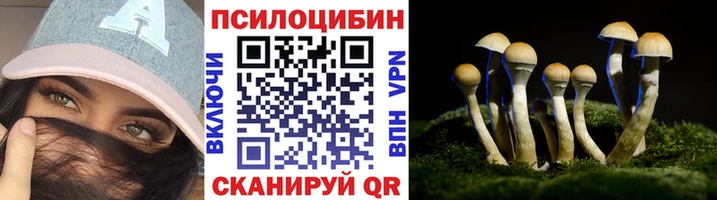 Галлюциногенные грибы Psilocybe  Отрадная 